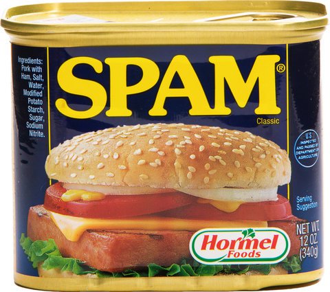 Spam Luncheon Meat Regular 340 g